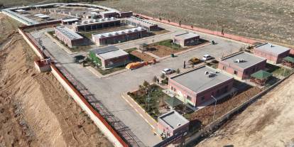 27 bin sokak köpeği, bakımevlerine götürüldü