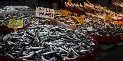 Hamsi yurda dönüş yaptı! Bolluk fiyatlara yansıdı, kilosu bakın kaç lira