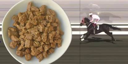 Türkiye bu olayı konuşuyor! Kavurma yapılan yarış atının sahibinden açıklama