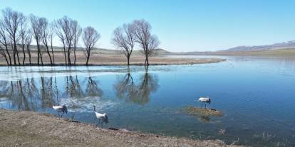 Sivas'ta yağışlar merada göl oluşturdu