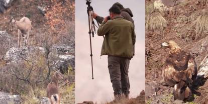 Milli Parklar Ekipleri Sivas’ın Doğal Yaşamını Kayıt Altına Aldı