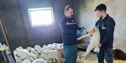 Sivas’ta aşılama ve kimliklendirme çalışmaları sürüyor