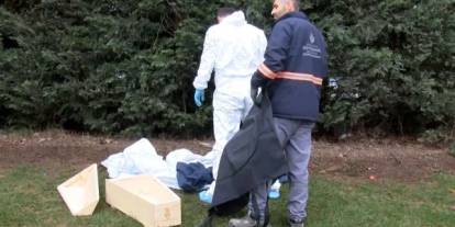 Yol kenarında yeni doğmuş bebek cesedi bulundu