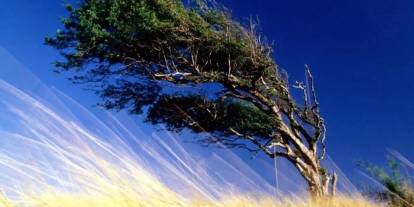 Sivas için kuvvetli rüzgâr alarmı