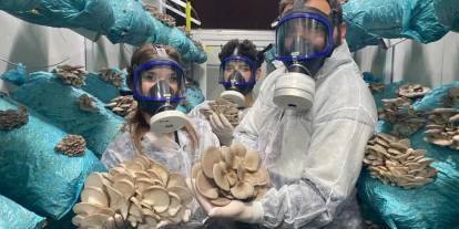 Avukatlığı bırakıp hobi olarak başladı, 26 yaşında mantar kralı oldu!