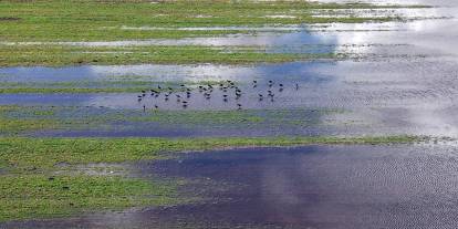 Sivas'ta tarım arazileri göle döndü
