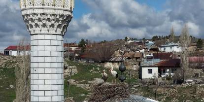 Sivas’ta Cami Kubbesinin Sadık Misafirleri