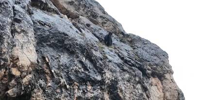 Sivas'ta kayalıklarda mahsur kalan keçi kurtarıldı