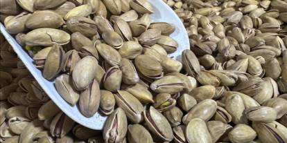 Türkiye Fıstıkta Dış Pazarda Gücünü Koruyor