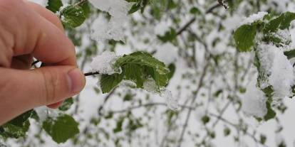 Sivaslı Çiftçilere Uyarı: Zirai Don Etkili Olacak