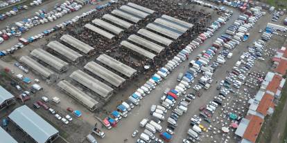 Sivas'ta hayvan pazarında bayram hareketliliği başladı