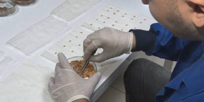 İran gerilimi sonrası gözler gıda güvenliğine çevrildi