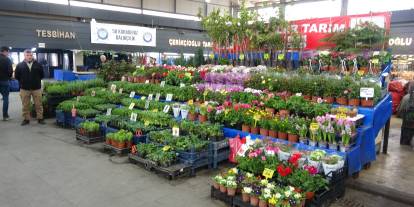 Sivas’ta vatandaş kendi sebzesini üretmeye yöneldi