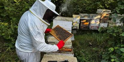 Sivas'ta arıcılık kursu başlıyor