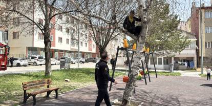 Sivas'ta top sevdası ağaçta bitti, çocuğu itfaiye kurtardı