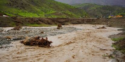 Sağanak sele neden oldu; 35 küçükbaş öldü