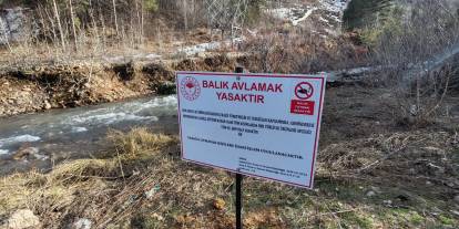 Sivas’ta balık avına yıl boyu yasak