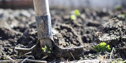 Spekülatif fiyat hareketliliğine 'sıfır vergi'li çözüm