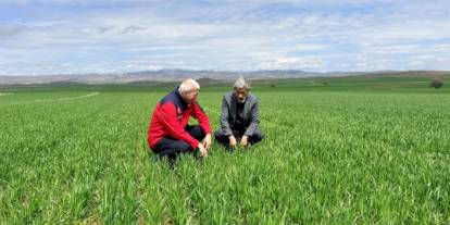 Kar ve yağışların ardından Sivas’ta tarım arazilerinde inceleme
