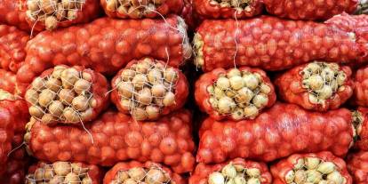 Kuru soğan ihracatı ilk çeyrekte yaklaşık 15 kat arttı