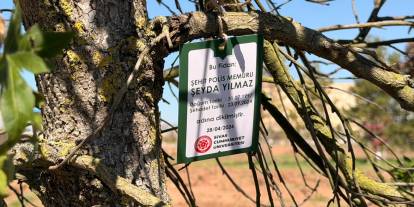 Sivas’ta şehitler için binlerce fidan toprakla buluştu