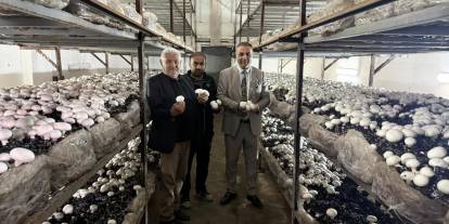 Sivas’ta yıllardır kapalı fabrika yeniden üretime geçti