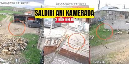 Sivas'ta köy ortasında sessiz saldırı, güvenlik kamerasında