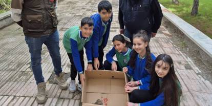 Sivas'ta öğrenciler buldukları baykuşu hayata döndürdüler