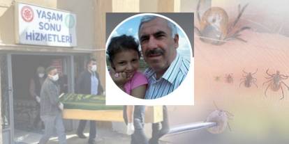 Sivas'ta kene yine can aldı, ölü sayısı 2'ye yükseldi