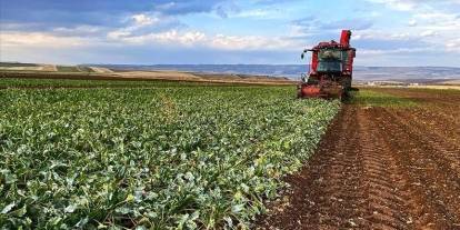 Çiftçilere ilk çeyrekte 35,6 milyarlık ödeme