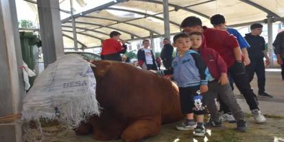 Sivas’ta kurban kesim yerleri belirlendi