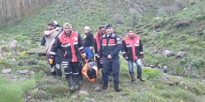 Sivas'ta mantar toplayan kişiye ayı saldırdı