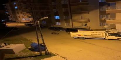 Sivas'ta ayı ilçenin  kabusu oldu