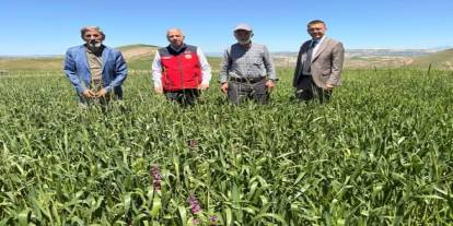 Sivas'ta üreticilere sarı pas uyarısı