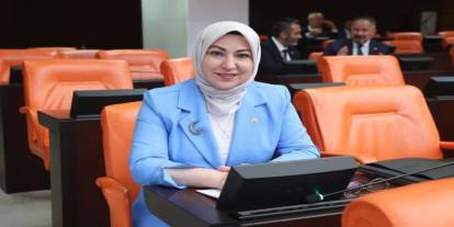 Rukiye Toy: TBMM’de DİLİM Projesini anlattı