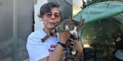 6 milyonda 1 görülen vaka: Erkek kedi doğum yaptı
