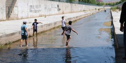 Sivas'ta dere içinde balık sürprizi