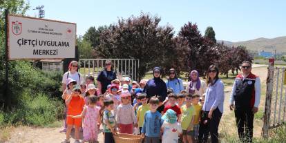 Sivas'ta Minikler Serada Çilek Hasadı Yaptı