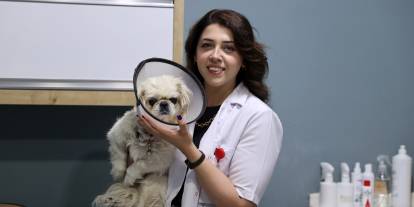 Sivas'ta görme yetisini kaybeden "Pamuk"a yeni umut