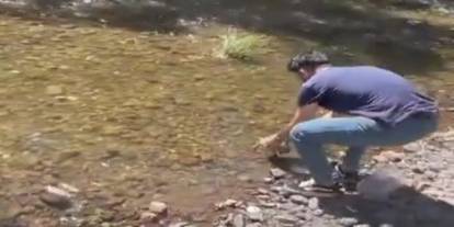 Sivas'ta plastik su bidonuna sıkışan kaplumbağa kurtarıldı
