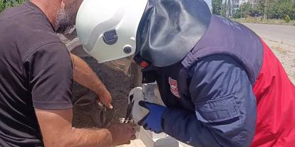 Sivas'ta sıcaktan bayılan leylek kurtarıldı