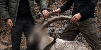 6 yıl önce yasa dışı yaban keçisi avlayanlara ceza
