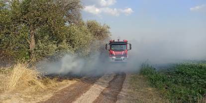 Ankara'da çıkan arazi yangınları söndürüldü