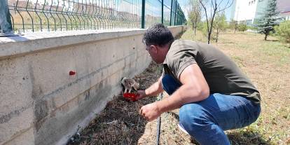 Sivas’ta okul bahçesinde bulundu, korumaya alındı