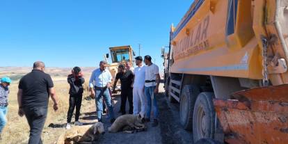 Sivas'ta 76 yıllık yol yapımı kurban kesimiyle başladı