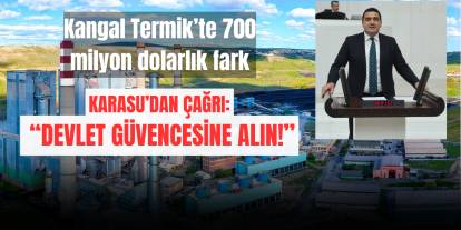 Kangal Termik için devletleştirme çağrısı