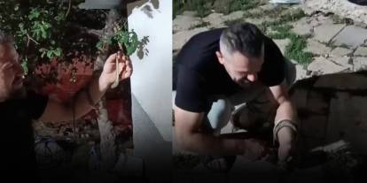 Sivas’ta yılanı eline alıp sevdi