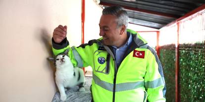 Sivas’ta sokak hayvanları için kapsamlı düzenleme