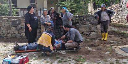 Sivas'ta ceviz ağacından düşen kişi yaralandı