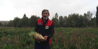 Sivas’ta pancarda hedef 800 bin ton